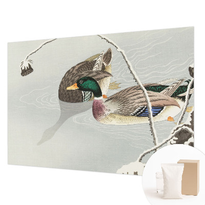 Vlies-Fototapete fürs Wohnzimmer Ruhige Enten