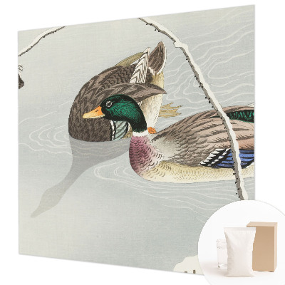 Vlies-Fototapete fürs Wohnzimmer Ruhige Enten