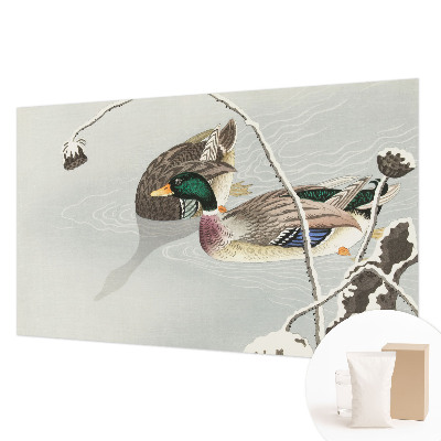 Vlies-Fototapete fürs Wohnzimmer Ruhige Enten