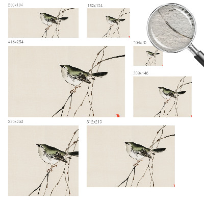 Bedruckte Vlies-Fototapete mit harmonischem Vogelmotiv