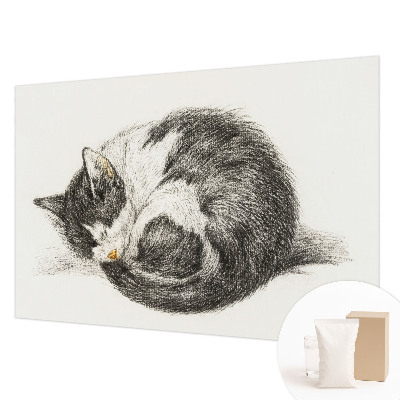 Vlies-Fototapete mit einem Motiv einer entzückenden Katze