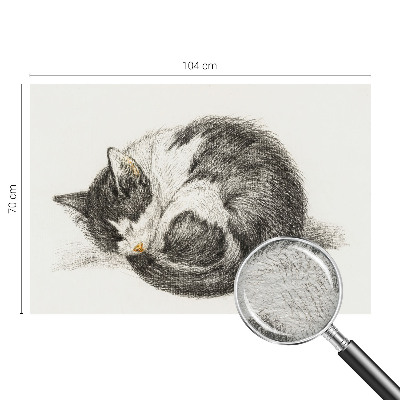 Vlies-Fototapete mit einem Motiv einer entzückenden Katze