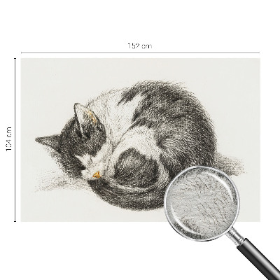 Vlies-Fototapete mit einem Motiv einer entzückenden Katze