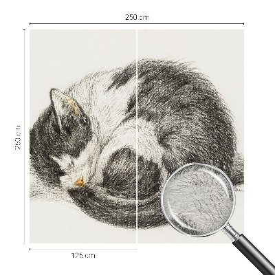 Vlies-Fototapete mit einem Motiv einer entzückenden Katze