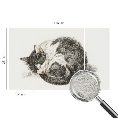 Vlies-Fototapete entzückende Katze