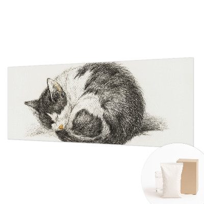 Vlies-Fototapete entzückende Katze