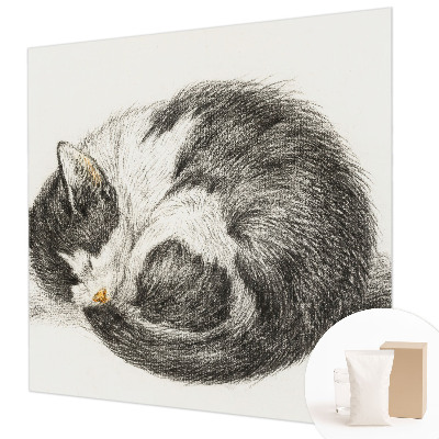 Vlies-Fototapete mit einem Motiv einer entzückenden Katze