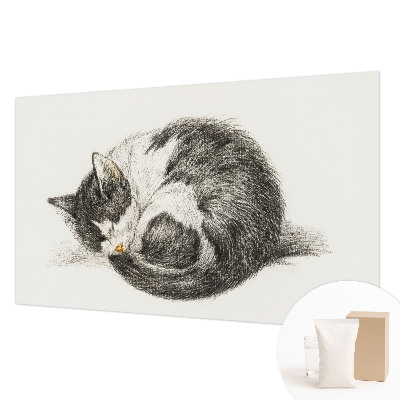Vlies-Fototapete mit einem Motiv einer entzückenden Katze