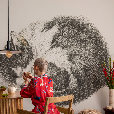 Vlies-Fototapete entzückende Katze