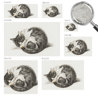 Vlies-Fototapete mit einem Motiv einer entzückenden Katze