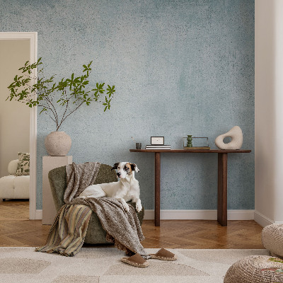 Bedruckte Vlies-Fototapete mit grauem Betonmotiv
