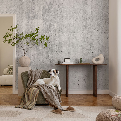 Vlies-Fototapete fürs Wohnzimmer mit Betonwand-Motiv