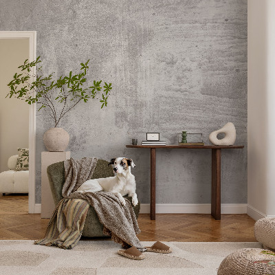 Wand-Fototapete mit Motiv in Rohbeton-Optik