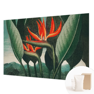 Vlies-Fototapete fürs Wohnzimmer mit exotischem Blumenmotiv