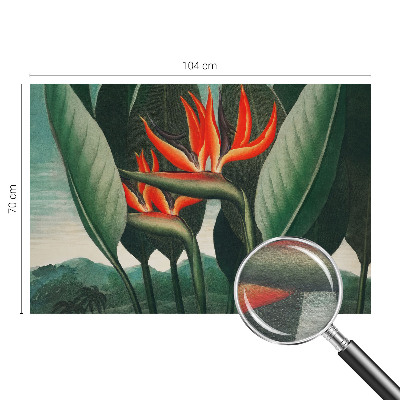 Vlies-Fototapete fürs Wohnzimmer mit exotischem Blumenmotiv