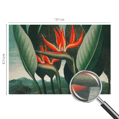 Vlies-Fototapete fürs Wohnzimmer mit exotischem Blumenmotiv