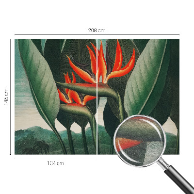 Vlies-Fototapete fürs Wohnzimmer mit exotischem Blumenmotiv