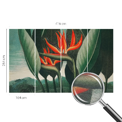 Vlies-Fototapete fürs Wohnzimmer Exotische Blumen