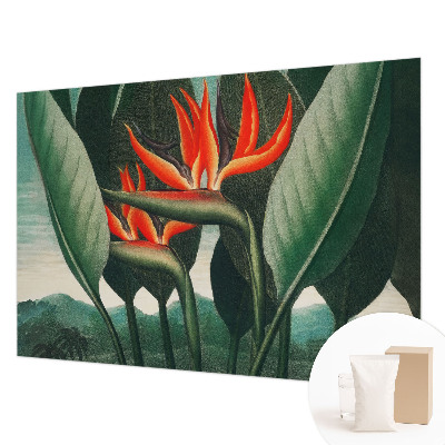 Vlies-Fototapete fürs Wohnzimmer mit exotischem Blumenmotiv