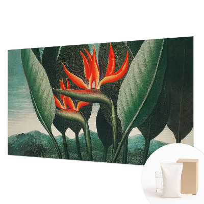 Vlies-Fototapete fürs Wohnzimmer mit exotischem Blumenmotiv