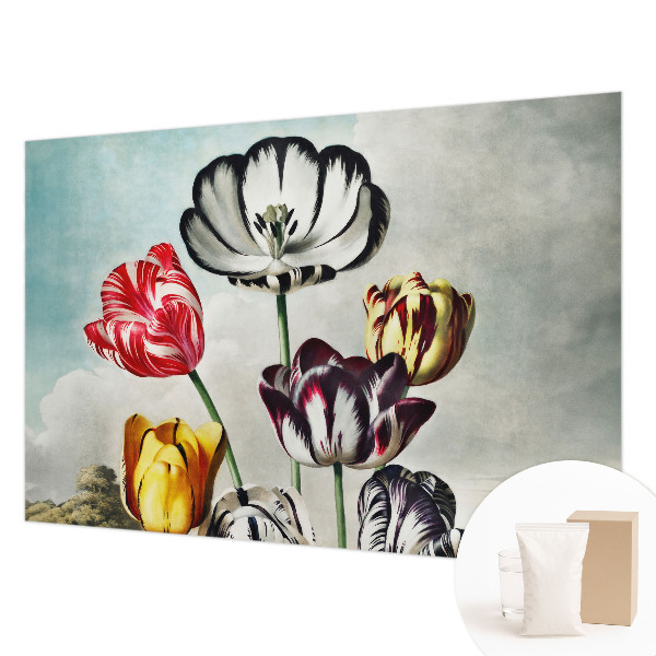 Fototapete aus Vlies mit bunten Tulpen als Motiv