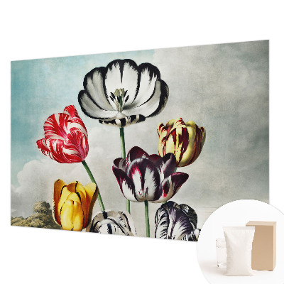 Fototapete aus Vlies mit bunten Tulpen als Motiv