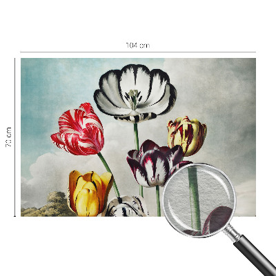 Fototapete aus Vlies mit bunten Tulpen als Motiv