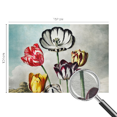 Fototapete aus Vlies mit bunten Tulpen als Motiv