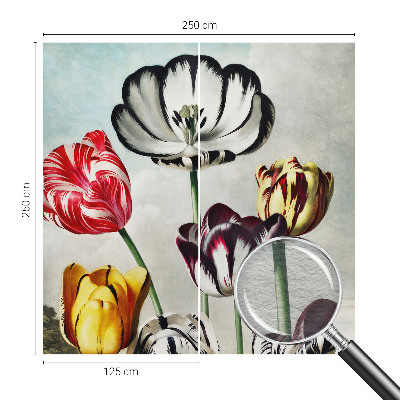 Fototapete aus Vlies mit bunten Tulpen als Motiv