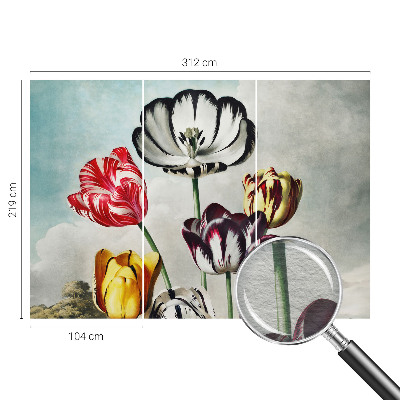 Fototapete aus Vlies mit bunten Tulpen als Motiv