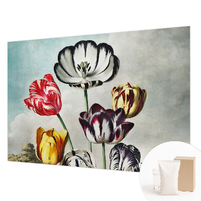Fototapete aus Vlies mit bunten Tulpen als Motiv