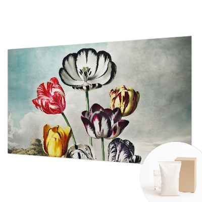 Fototapete aus Vlies mit bunten Tulpen als Motiv