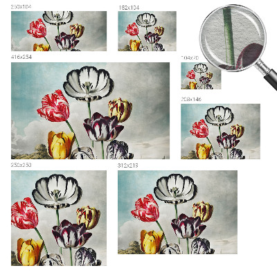 Fototapete aus Vlies mit bunten Tulpen als Motiv