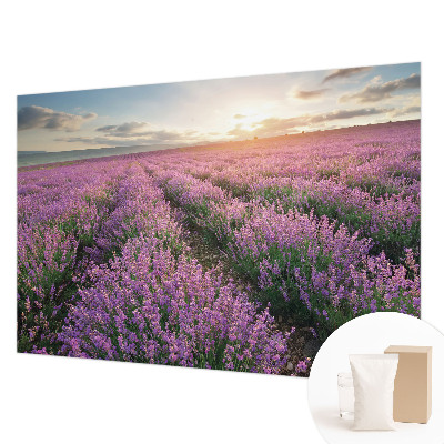 Vlies-Fototapete Lavendelfelder
