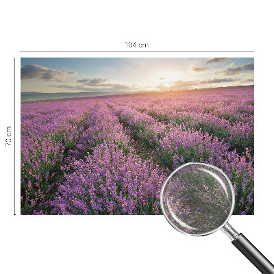 Vlies-Fototapete mit Motiv von Lavendelfeldern