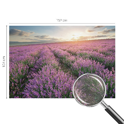 Vlies-Fototapete mit Motiv von Lavendelfeldern