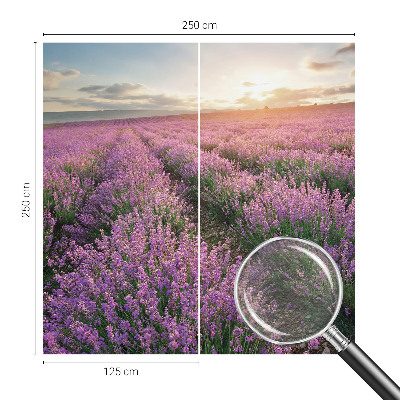 Vlies-Fototapete Lavendelfelder