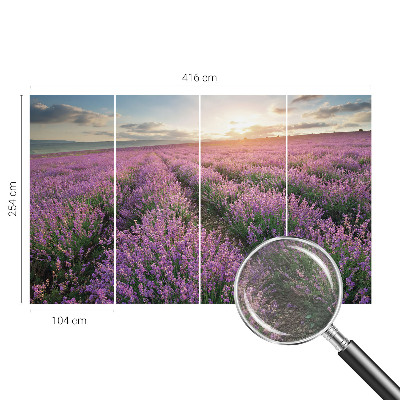 Vlies-Fototapete Lavendelfelder