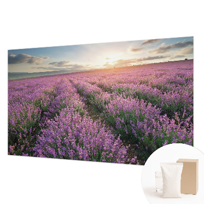 Vlies-Fototapete Lavendelfelder
