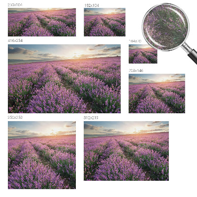 Vlies-Fototapete mit Motiv von Lavendelfeldern