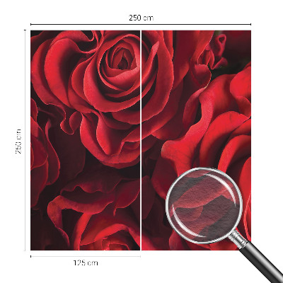 Fototapete fürs Wohnzimmer mit roten Rosen