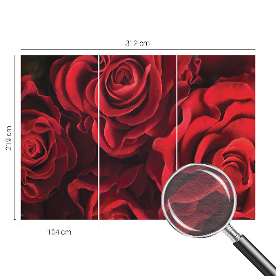 Fototapete fürs Wohnzimmer mit roten Rosen
