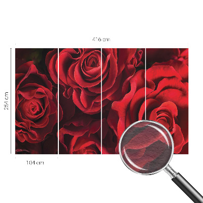 Fototapete fürs Wohnzimmer mit roten Rosen