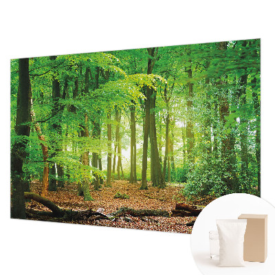Fototapete fürs Schlafzimmer mit grünem Waldmotiv