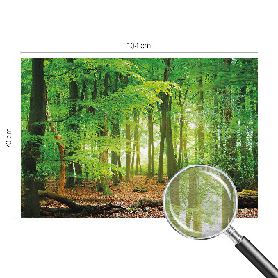 Fototapete fürs Schlafzimmer mit grünem Waldmotiv