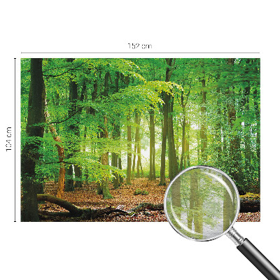 Fototapete fürs Schlafzimmer mit grünem Waldmotiv