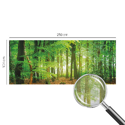 Fototapete fürs Schlafzimmer mit grünem Waldmotiv
