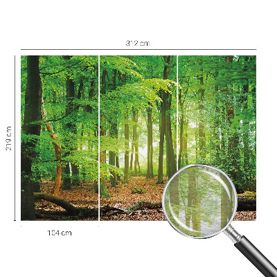Fototapete fürs Schlafzimmer mit grünem Waldmotiv