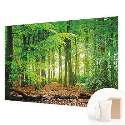 Fototapete fürs Schlafzimmer mit grünem Waldmotiv