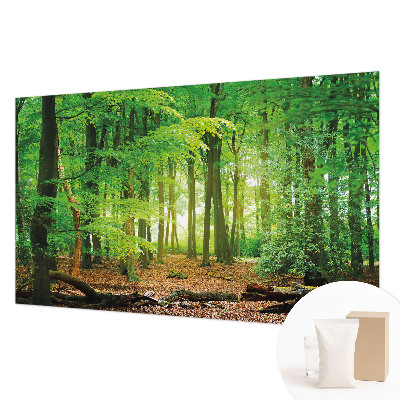 Fototapete fürs Schlafzimmer mit grünem Waldmotiv